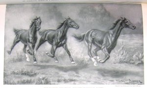 1923 HORSES: THE TROTTER, PACER & RUNNER PRINT by MINER