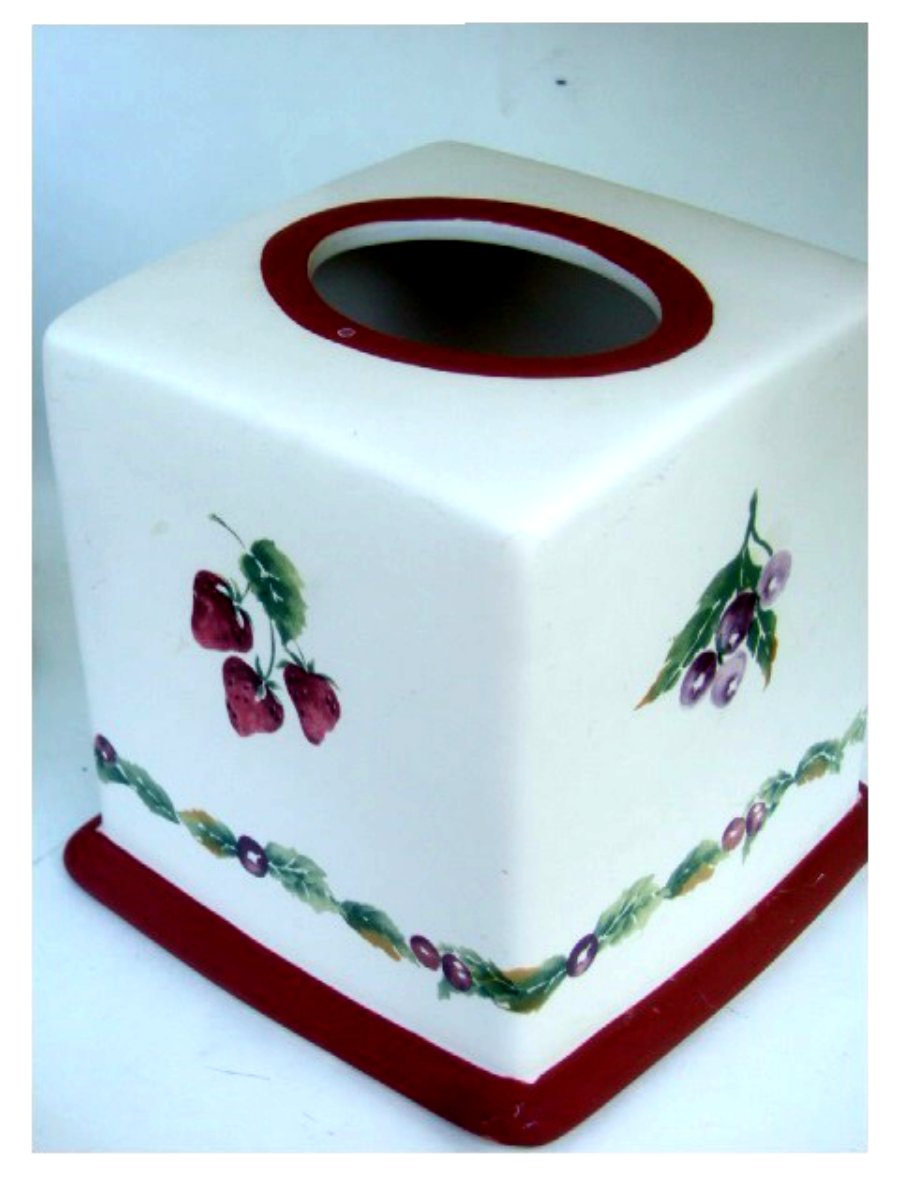 Jamberry Strawberries Cherries Tissue Box Cover
