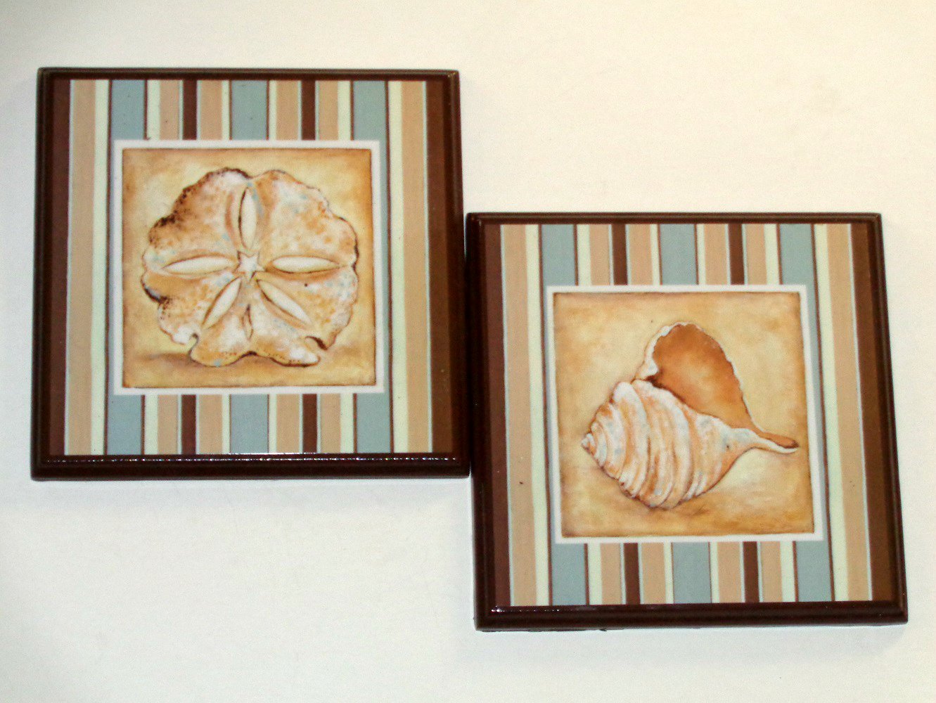 Sand Dollar Sea Shell Plaques Wall Beach Decor