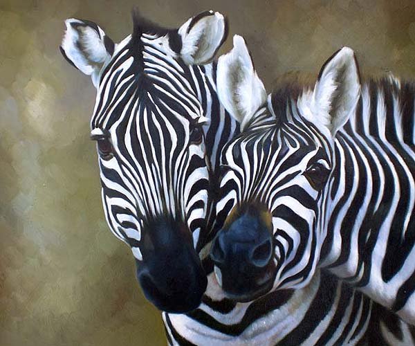 Burchell Zebras Loving Moment 20" x 24" Original Oil