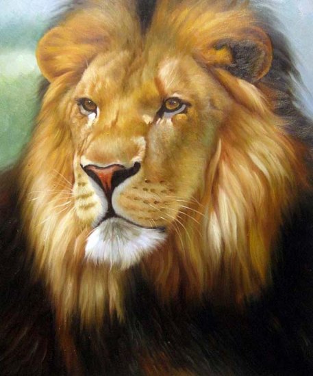 Lion the wild King 20" x 24" Original Oil