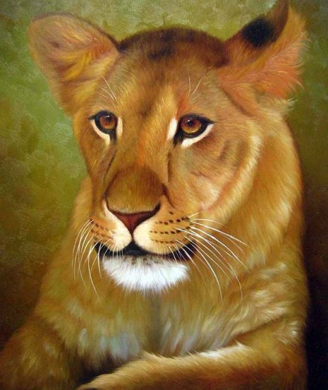 Lioness the wild Queen 20" x 24" Original Oil