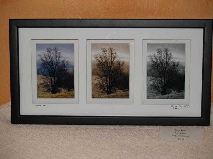 Mystic Trees