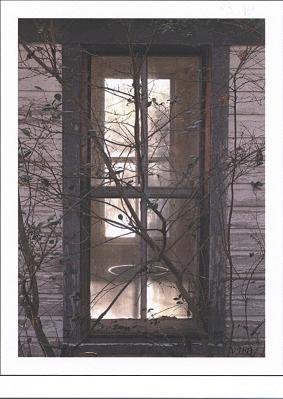 Angel in the Window