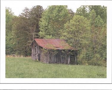 Old barn