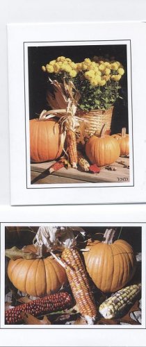 Fall Harvest