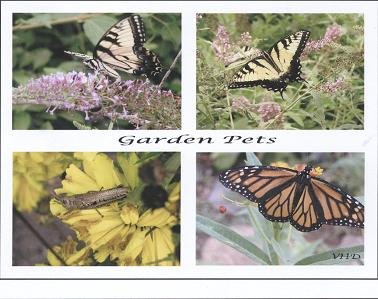 Garden Pets