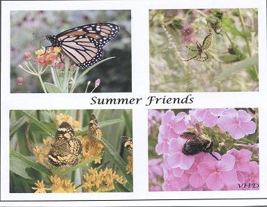Summer Friends