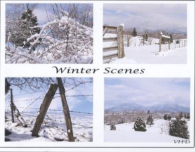 Winter Scenes