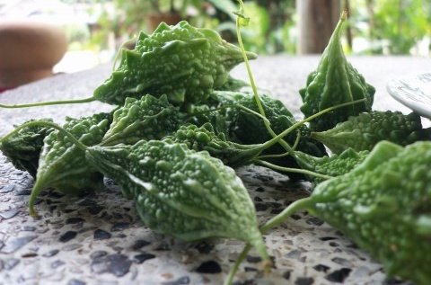Bitter melon Balsam apple 30 seeds heirloom native Thai vegetable seeds