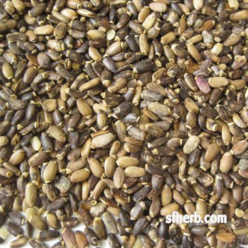 Milk Thistle Seed - 1 Lb