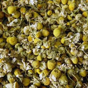 Oatstraw Tops (Green) 1 lb.