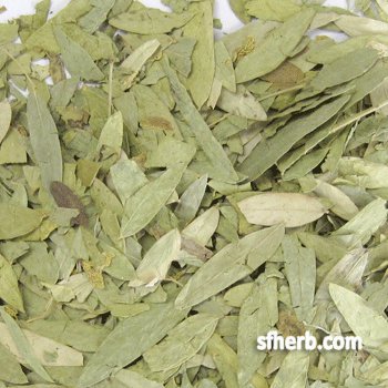 Senna Leaf, Whole - 1 Lb