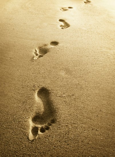 42 DAY JOURNEY WORK PROGRAM- THE BOOST