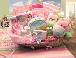 Precious Baby New Baby Carrier Gift Basket