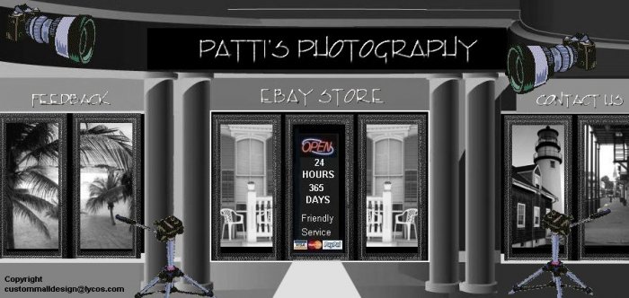 Web Site or Auction Template Camera Supplies Mall Header Logo With Custom Links