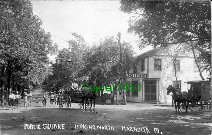 Rare Early Magnolia OH Street Scene c1910