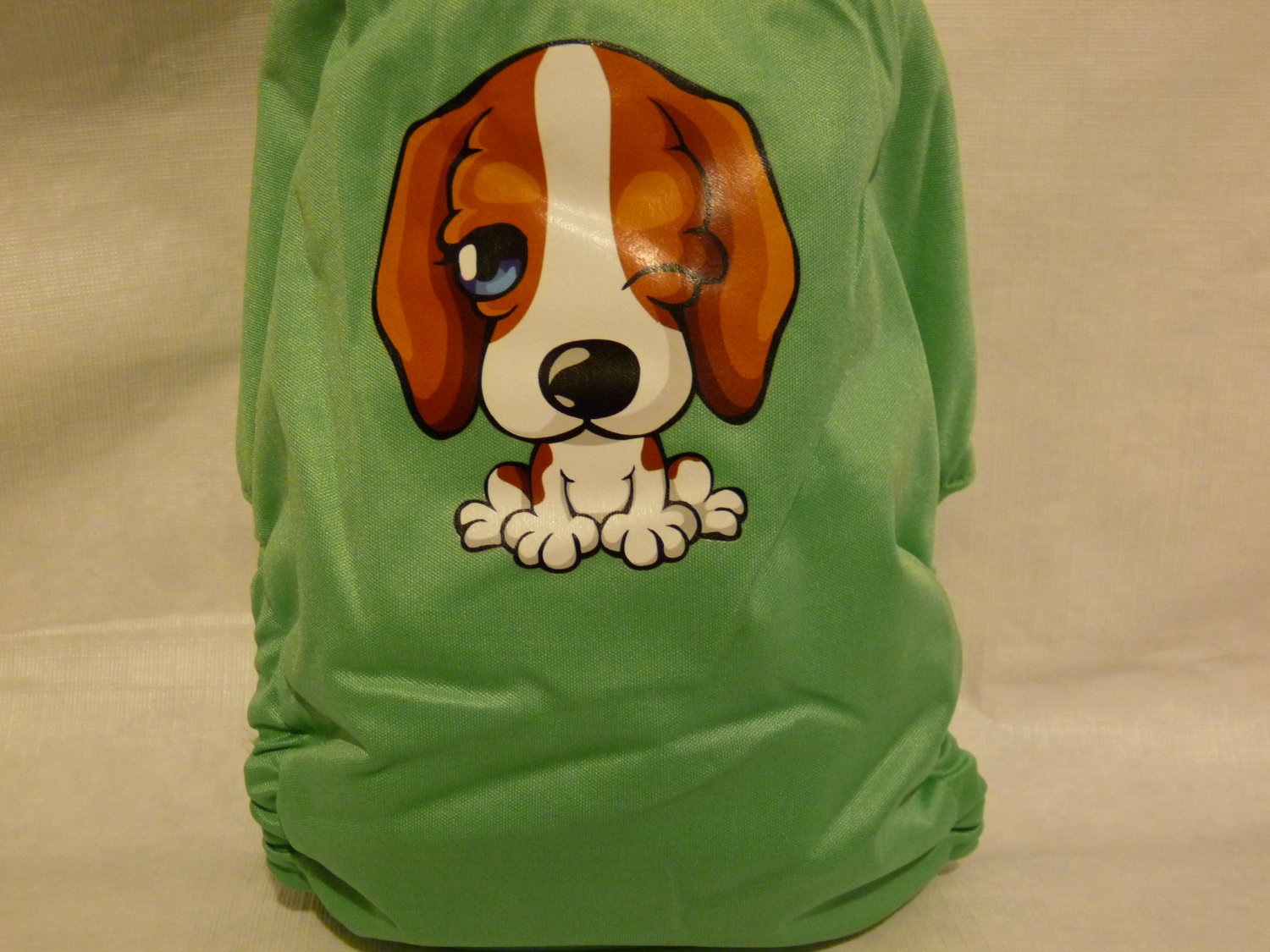 Adorable Puppy