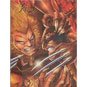 Sabretooth vs Wolverine Card