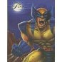 Wolverine Card
