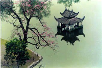 Thay pagoda