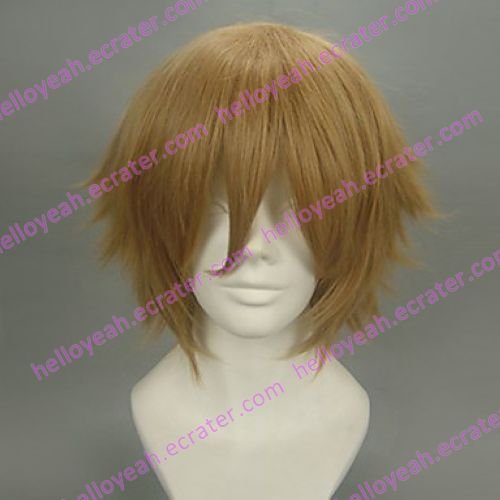 Cosplay Wig Inspired by Hiiro no Kakera-Kutani Ryou