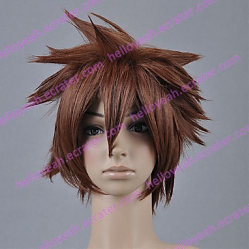 Cosplay Wig Inspired by Kingdom Heart Sora
