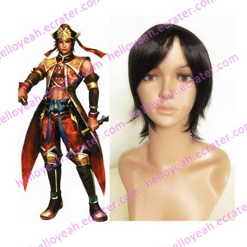 Dynasty Warriors 4 Lu Xun Cosplay wig