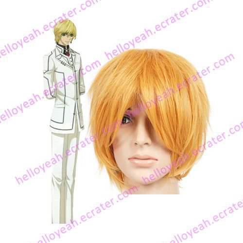 35cm Vampire Knight Ichijou Takuma Nylon Cosplay Wig