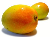 Enchanted Lights Soy Candles Mango Papaya 8oz.