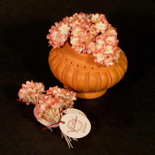 mini daisy