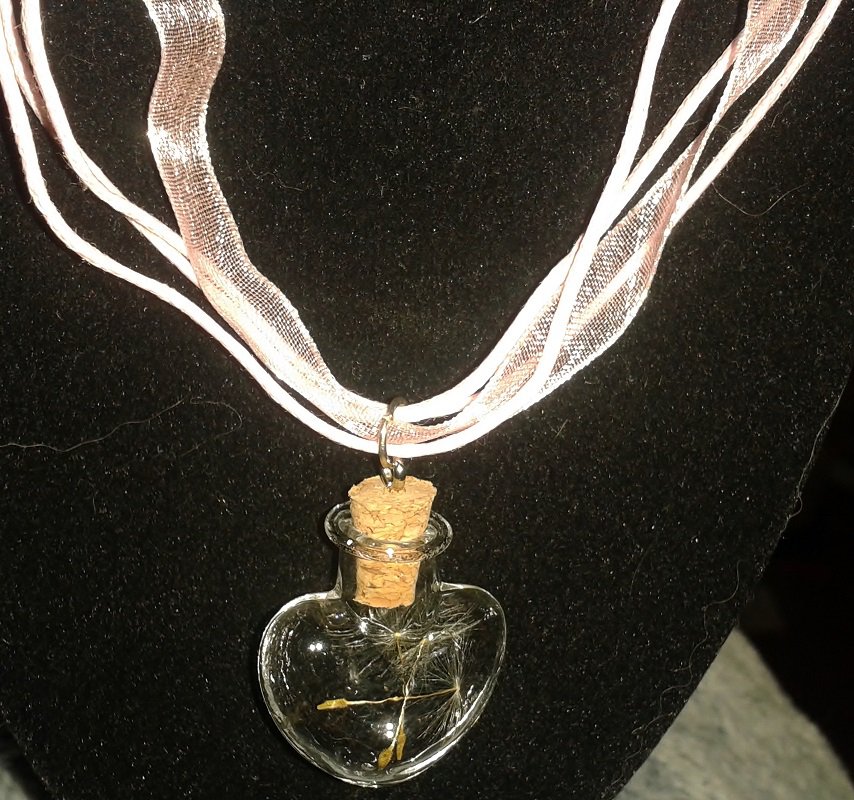 The wishing necklace....