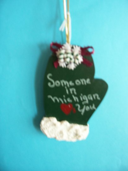 Some one loves you in Michigan ornament mitten green christmas holiday