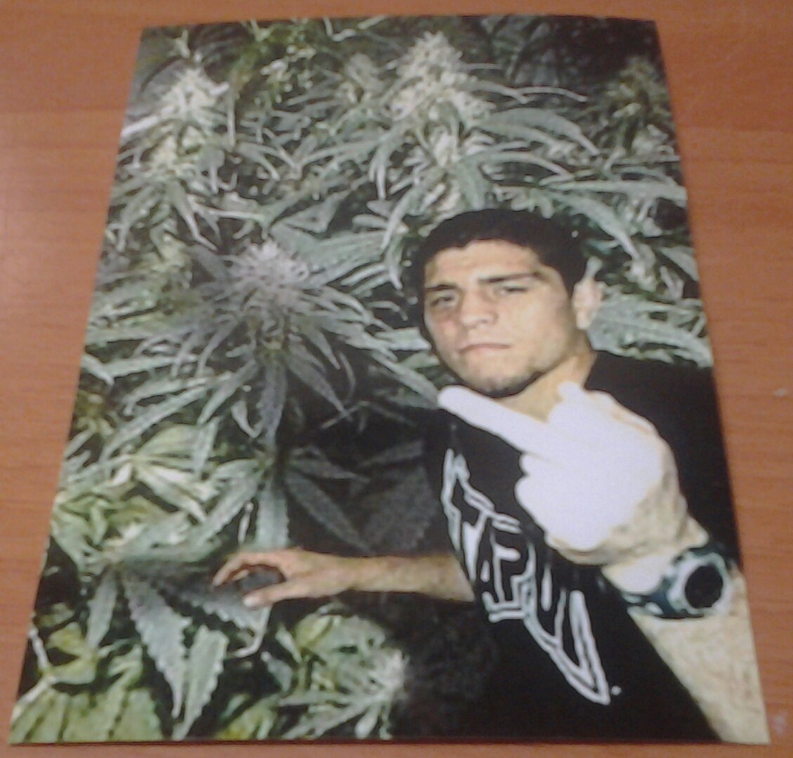 UFC MMA NICK DIAZ 420 Stockton 209 PUFF PUFF Marijuana 4x6 photo