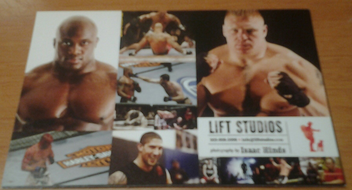 UFC MMA Lesnar/Lashley/hot chick nice little 2-sided promo card WWE