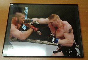 BROCK LESNAR blasts Heath Herring at UFC 87 framed 8x10 photo WWE