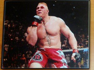 BROCK LESNAR celebrates after UFC 116 win framed 8x10 photo WWE