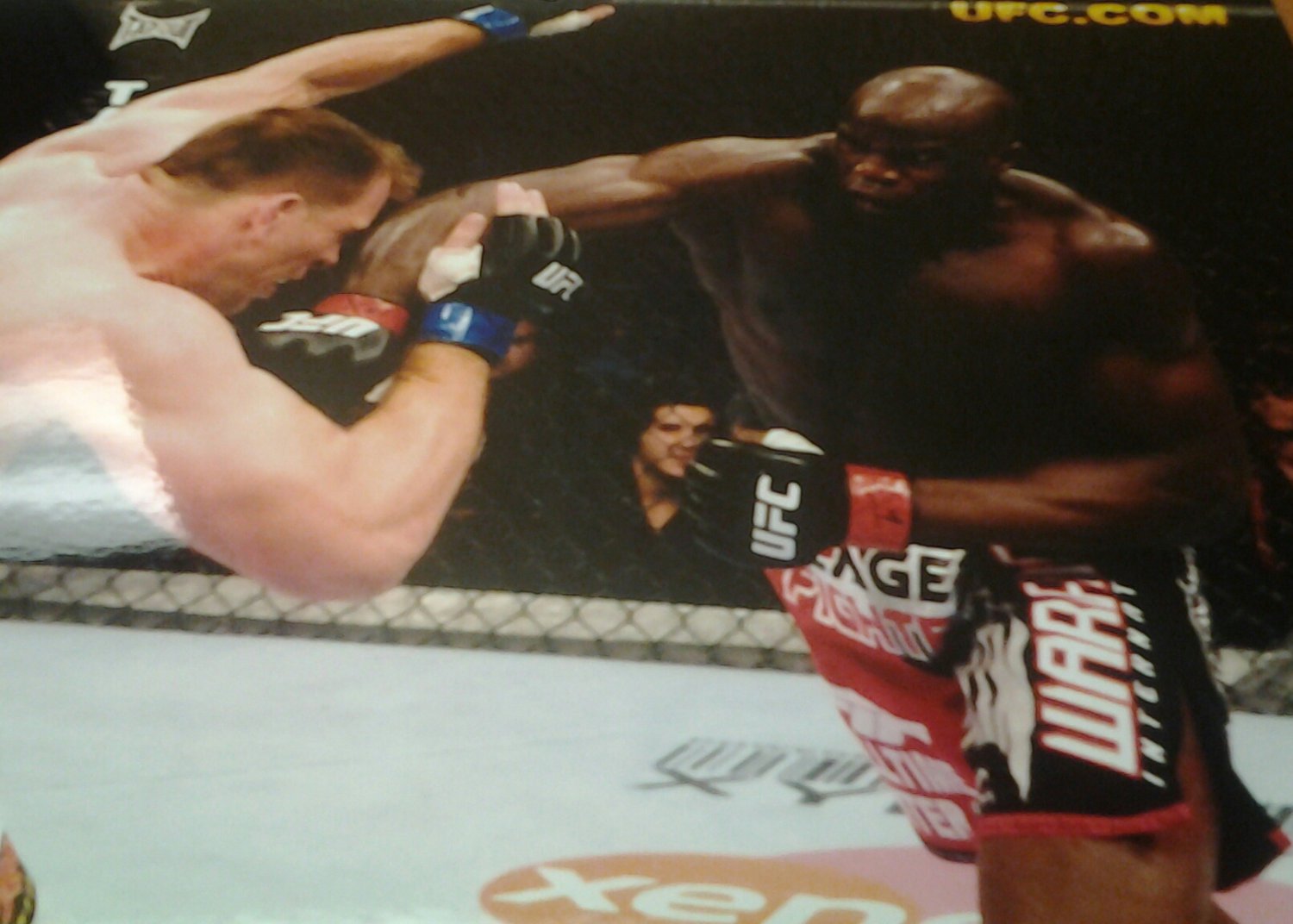 UFC MMA CHEICK KONGO smashes Hardonk 8x10 photo