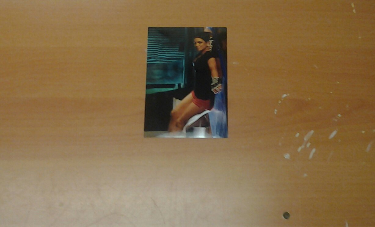 UFC WMMA hot sexy Legend GINA CARANO 4x6 photo