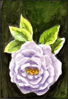 ACEO Lavender Rose by Patricia Ann Rizzo