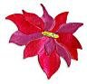 Poinsettia, Christmas, Sizzix Sizzlit