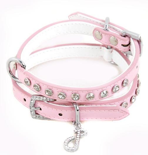 Candy Floss Dog Collar