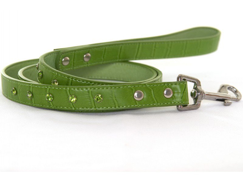 Crocodile Rocks Lead