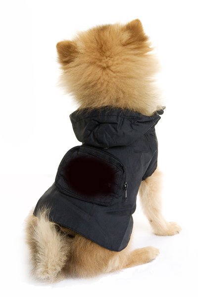 Pet Wear Designs Dog Pac-a-mac in Black