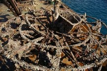 Paddle Ship âPatrisâ Lost in 1868...