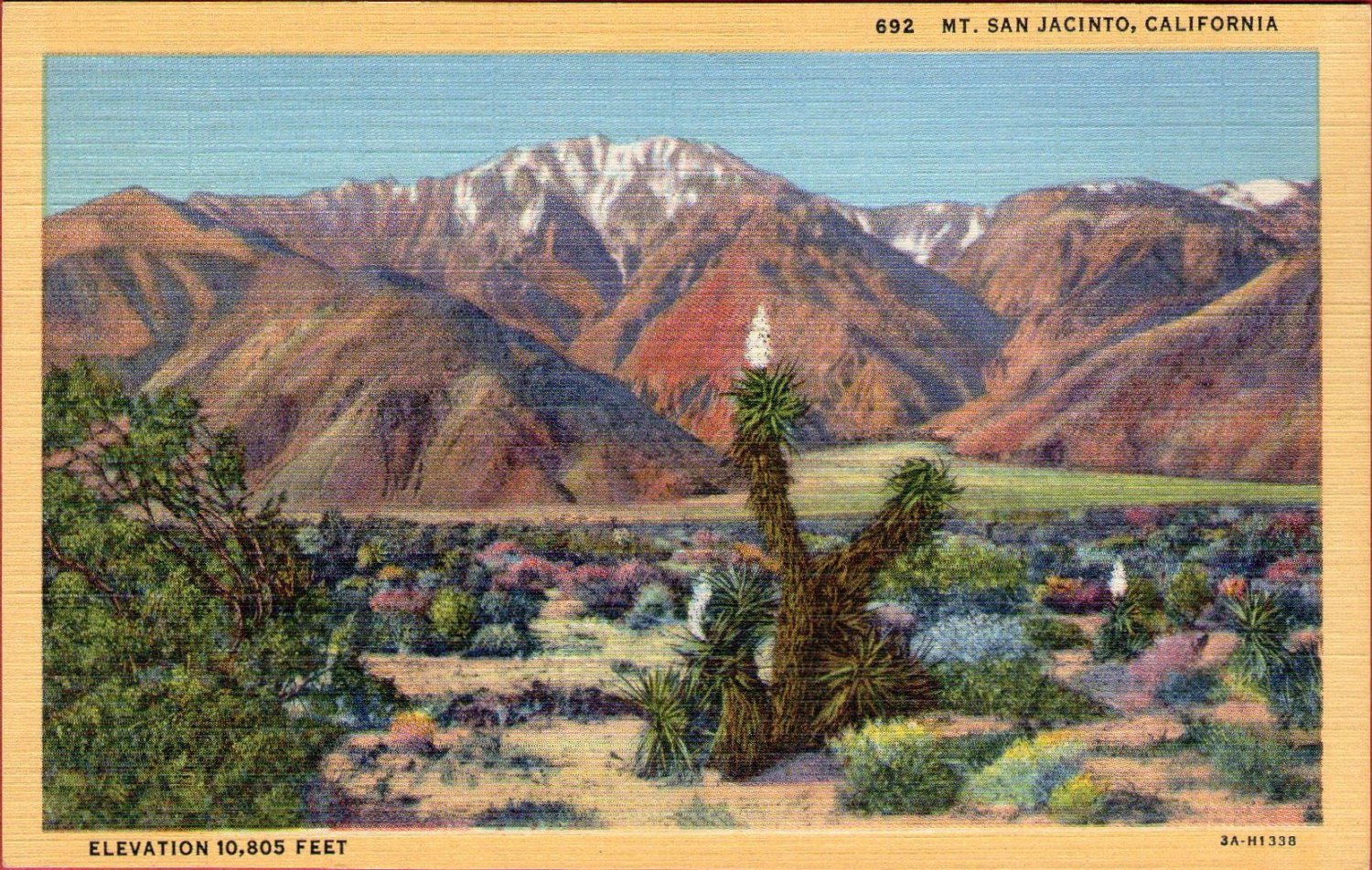 Scenic- C.T. Art "Mt. Jan Jacinto, California" Linen Postcard