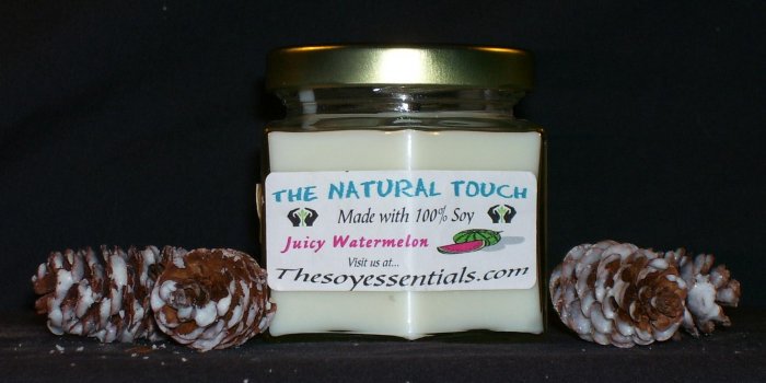 4 oz Soy Candle - Juicy Watermelon