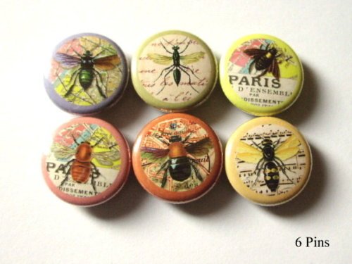 Bees Bugs Insects 1" Pins Badges or Magnets Set of 6