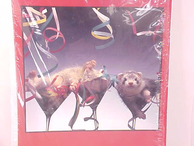 Congratulations Grin and Ferret Greeting Cards NEW