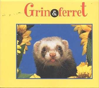Grin and Ferret Among Flowers Box 12 Greeting Cards NEW